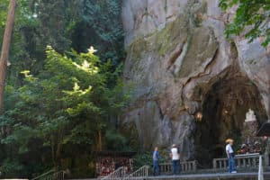 Join for a Member Moment